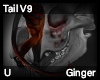 Ginger Tail V9