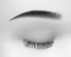 Glam Brows black