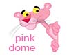 PINK  PANTHER  DOME