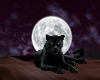 POSTER - black panther