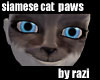 Siamese Cat Paws