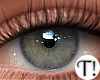 T! Beauty Eyes 11