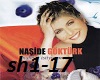 Naside Gokturk -Sakin ha