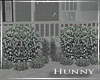 H. Winter Landscaping