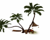 Hammock and palm trees