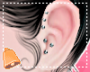 🔔 Steel Piercings L