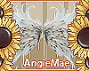 AM* Lucy Wings
