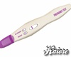 Negative Pregnancy Test