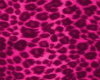 Pink Leopard Bench