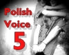 Polish Musicvoice5|cytra