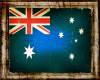 Rustic framed Oz  flag