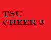 TSU Cheerbox 3