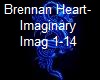 Bennan Heart-Imaginary