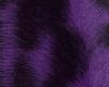 Purple/White Fur