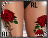 Leg Roses Barbwire RL
