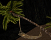 [kyh]coconut hammock2