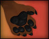 G|Doberman Paws F