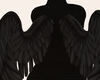 V! Angel Wings Black