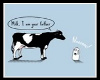 funny  cow sticker