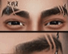 INITIO SPN Tom Brows