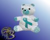 Cancer Support Teddy