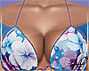 Erine Set