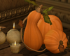 A Harmony Pumpkins