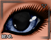 B | Sloth Sin Eyes
