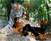 Tiger Loves Lilith 