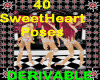 [CD]40 SweetHeart Poses*