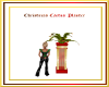 Christmas Cactus Planter