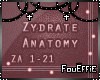 {FE} Zydrate Anatomy RMX