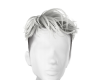 *B* DC Snow