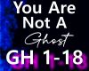 You are not a Ghost