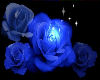 blue rose club wear