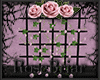 RB| PGB Wall Roses