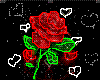 Glowing Red Rose