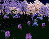 One Sakura Night