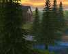 Evergreen Forests