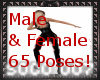 65 Modeling Poses