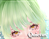 Bamboo Bangs | Q
