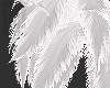 x. feather