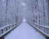snowy bridge backdrop