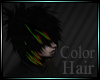 [Y] Color Hair