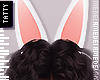 ` bunny ears M [drv