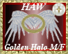 Golden Halo