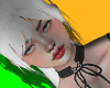 ASSDF