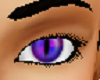 NL2-Cat Eyes Purple