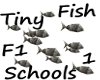 Tiny Fish Schools Anima