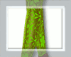! NEON LACY BODYSUIT